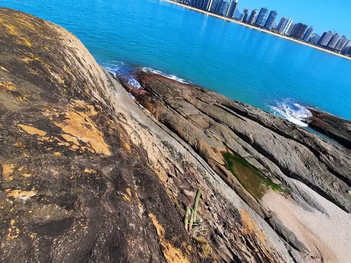 Ilha das Garças